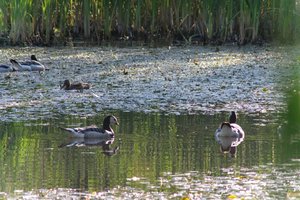 DSCF2109.JPG