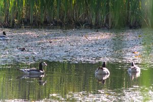 DSCF2118.JPG