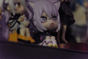 DSCF2195.JPG