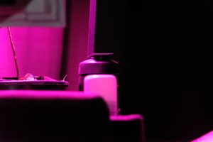 DSCF2223.JPG