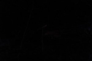 DSCF2250.JPG