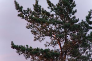 DSCF2257.JPG