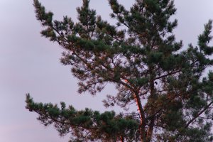 DSCF2261.JPG