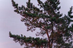 DSCF2263.JPG