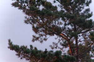 DSCF2272.JPG