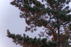 DSCF2274.JPG