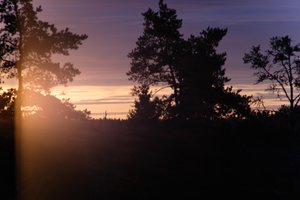 DSCF2290.JPG