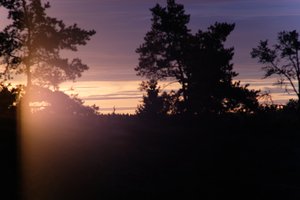 DSCF2291.JPG
