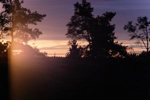 DSCF2293.JPG