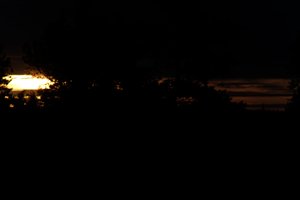 DSCF2313.JPG