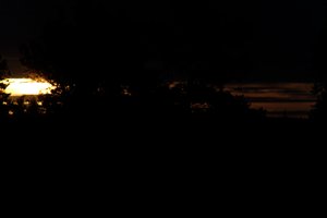 DSCF2314.JPG