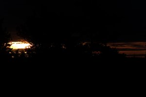 DSCF2318.JPG