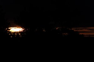 DSCF2319.JPG