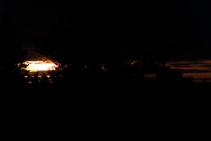 DSCF2320.JPG