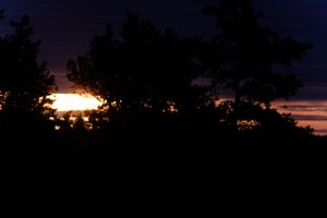 DSCF2329.JPG