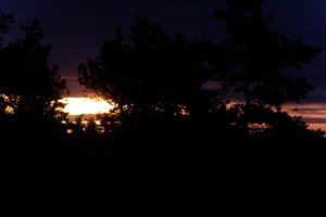 DSCF2330.JPG