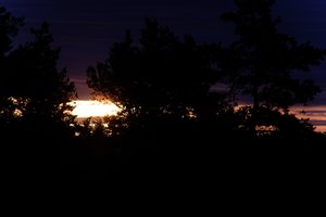 DSCF2332.JPG
