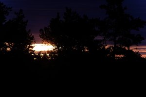 DSCF2333.JPG