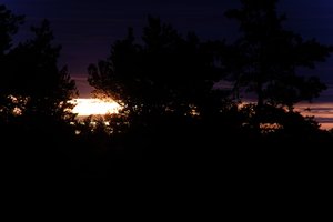 DSCF2334.JPG