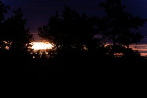 DSCF2335.JPG