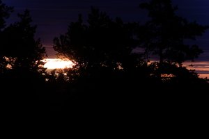 DSCF2336.JPG