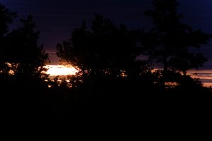 DSCF2341.JPG