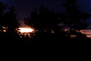 DSCF2342.JPG
