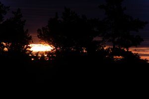 DSCF2343.JPG