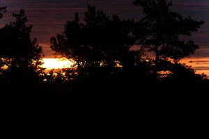 DSCF2344.JPG