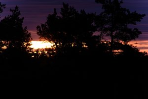 DSCF2345.JPG