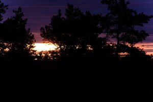 DSCF2346.JPG