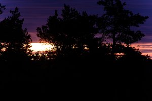 DSCF2347.JPG