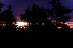 DSCF2349.JPG