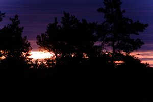 DSCF2352.JPG