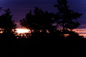 DSCF2353.JPG