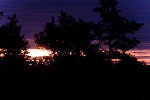 DSCF2355.JPG