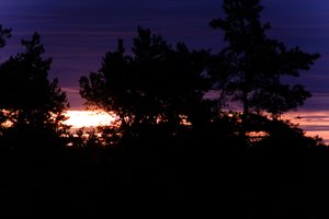 DSCF2356.JPG