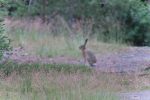 DSCF2359.JPG