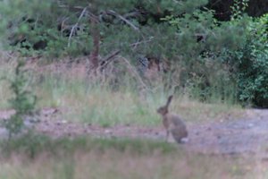 DSCF2379.JPG