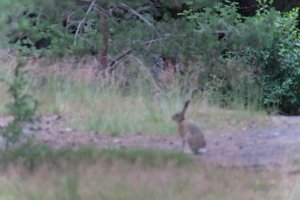 DSCF2380.JPG