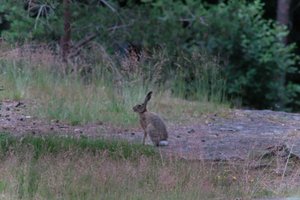 DSCF2390.JPG