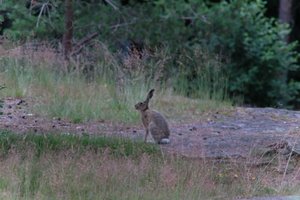 DSCF2391.JPG