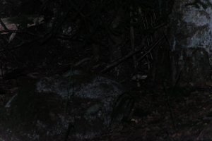 DSCF2402.JPG