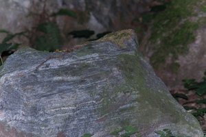 DSCF2404.JPG