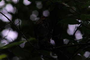 DSCF2408.JPG