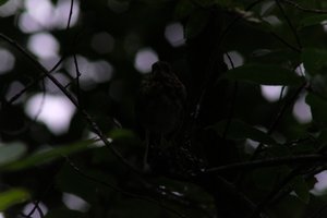 DSCF2411.JPG