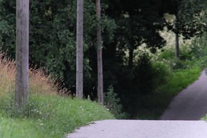 DSCF2415.JPG