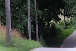 DSCF2418.JPG