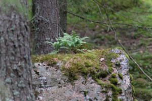 DSCF2459.JPG