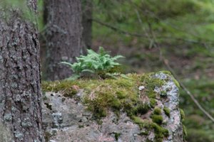 DSCF2472.JPG
